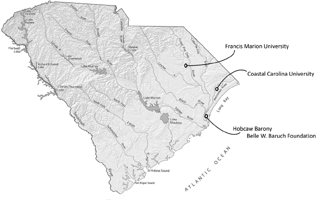 Topographic map of South Carolina with markers for Florence, Conway, and Georgetown, South Carolina.