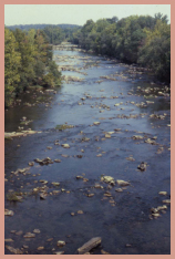 Tree-lined river with rocks breaking the surface of the water.