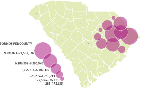A map of South Carolina indicating the pounds of tobacco produced by county from 285 to 21,563,336.