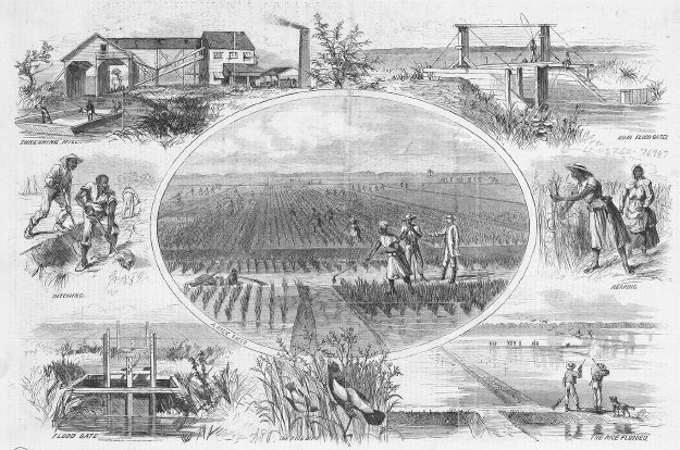 Figure 4. Wood carving of vignettes of enslaved workers farming rice.