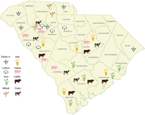 A map of South Carolina indicating various forms of agriculture circa 1840.