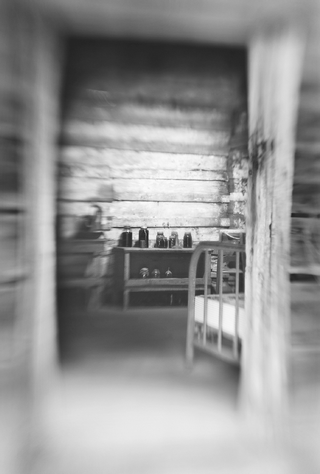 Figure 1. Inside view of hewn-timber cabin, including bed frame, shelves, and glass jars.