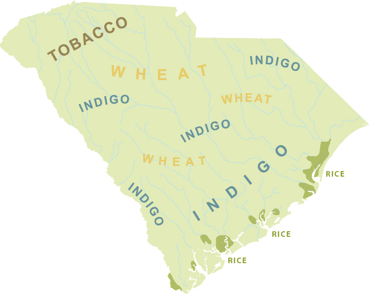 A map of South Carolina indicating where indigo, tobacco, wheat, and rice were grown by colonists.