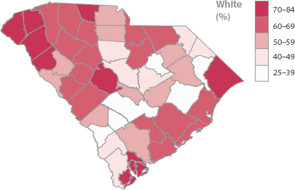 A map of South Carolina indicating percentage of White people population from 25 to 84.