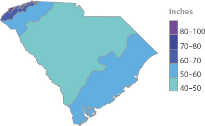 A map of South Carolina indicating the average annual precipitation, measured in inches from 40 to 100.