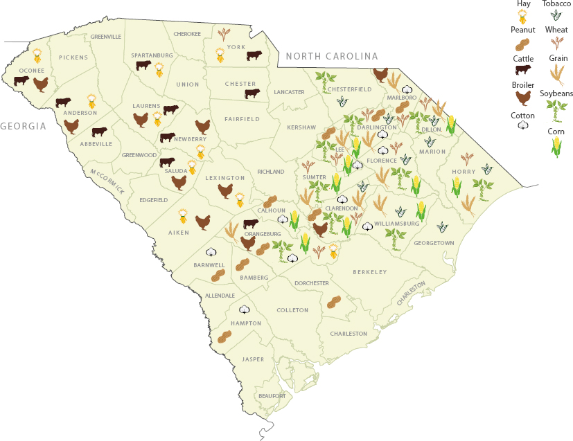 A map of South Carolina illustrating various forms of agriculture.
