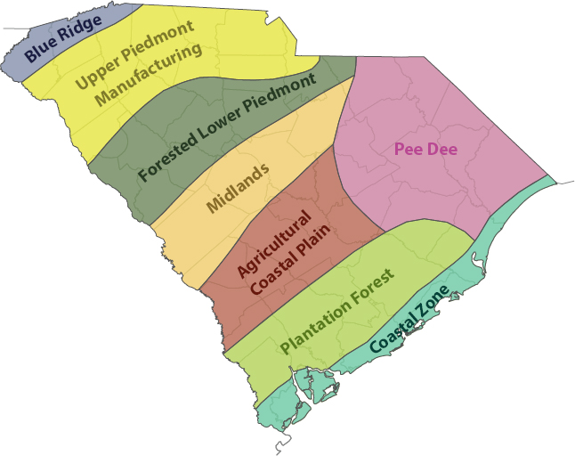 A map of South Carolina divided into eight regions.