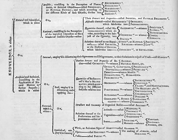 Left-to-right flowchart that starts with one category and expands into many branching categories.